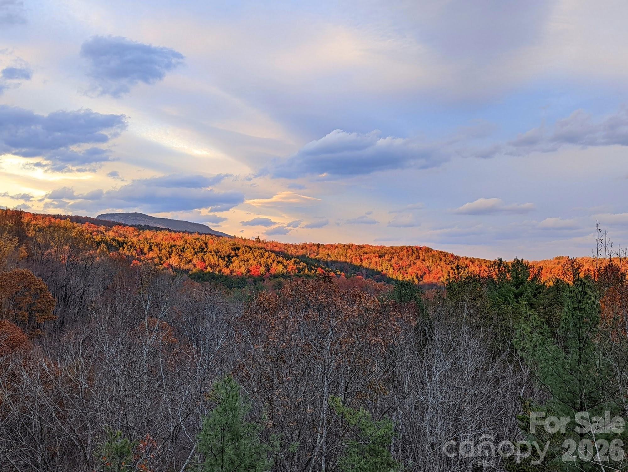 9147 Shortoff View Terrace Nebo, NC 28761 - Photo 47 of 48 a view of mountain with lake view