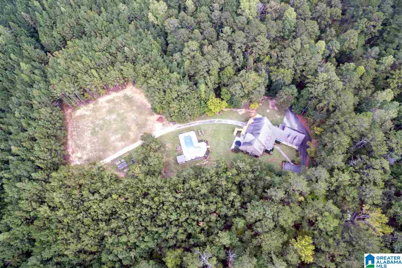 137 Smyer Lake Road Leeds, AL 35094 - Photo 47 of 50