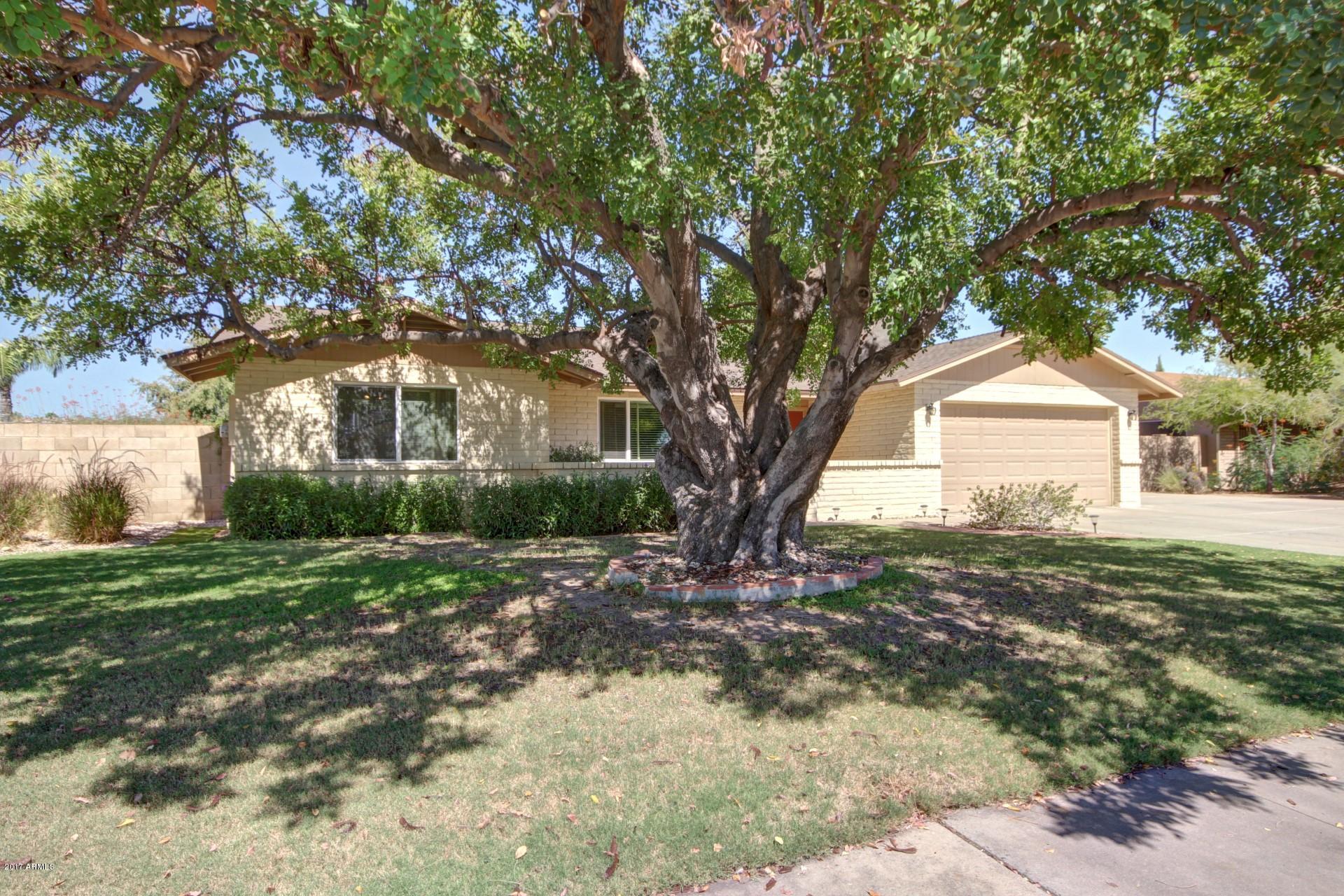 3812 West Grandview Road Phoenix, AZ 85053 - Photo 3 of 32 Grandview (3)