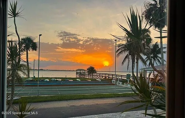 a view of a yard and palm trees