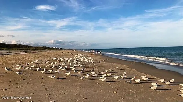 a view of beach and ocean