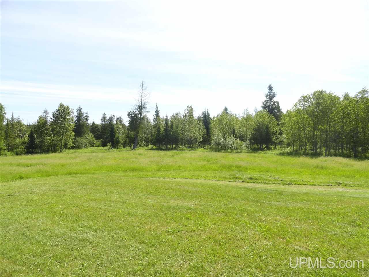 1378 Sa Road Cornell, MI 49818 - Photo 28 of 36