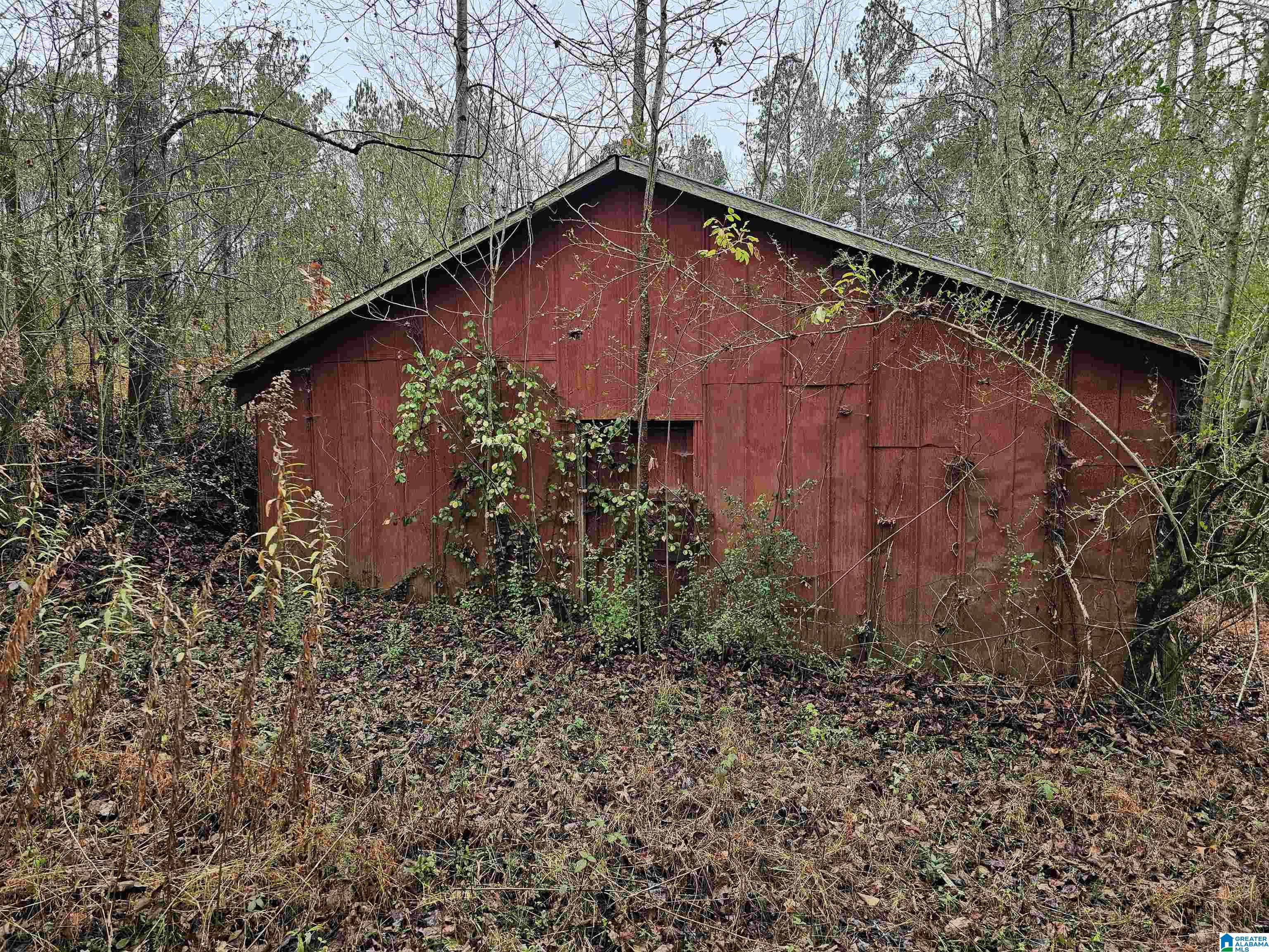 16188 Highway 46 Ranburne, AL 36273 - Photo 29 of 30 Gallery Image 29