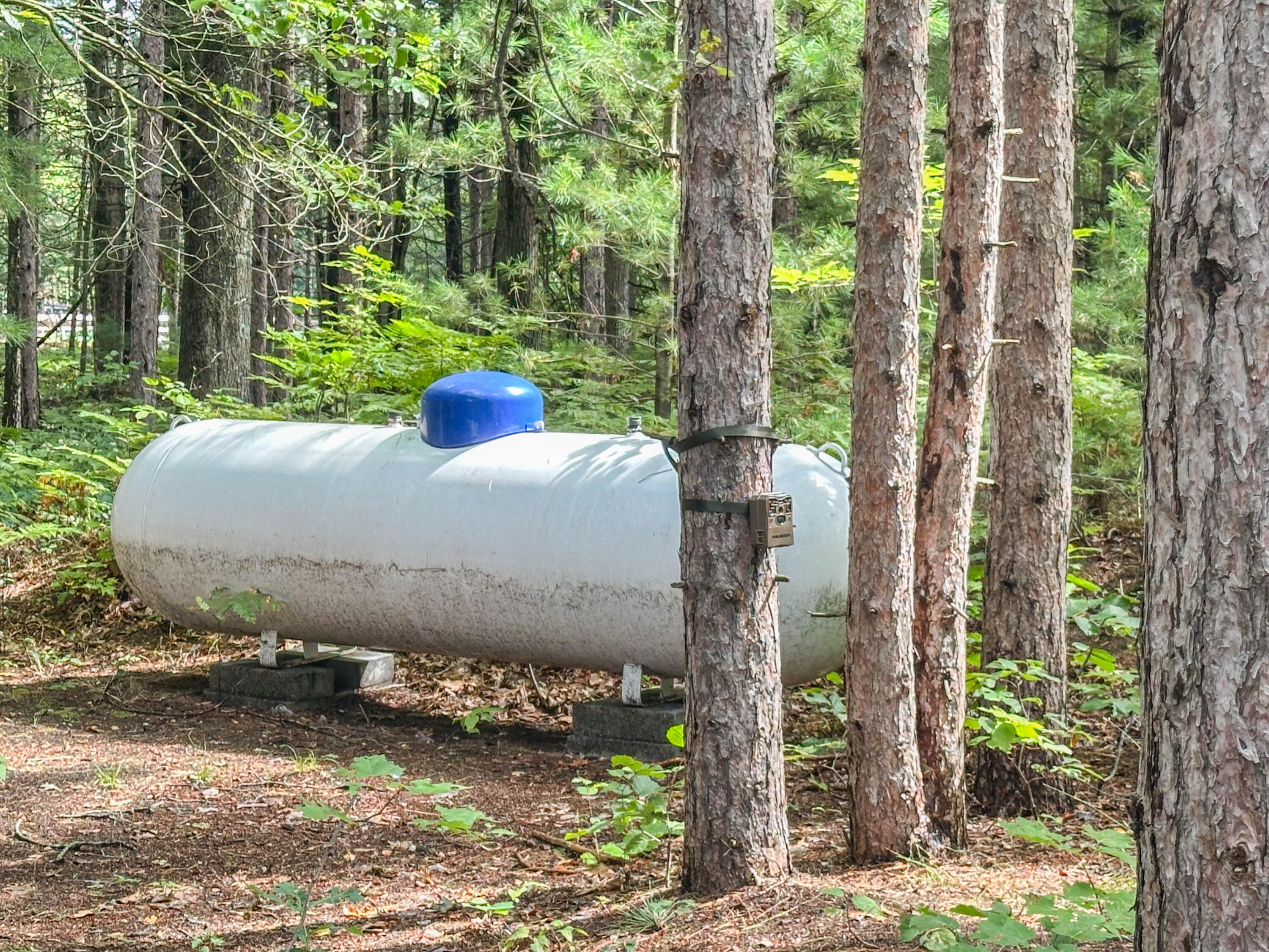 10450 North Tuttle Road Free Soil, MI 49411 - Photo 28 of 35 LP Tank