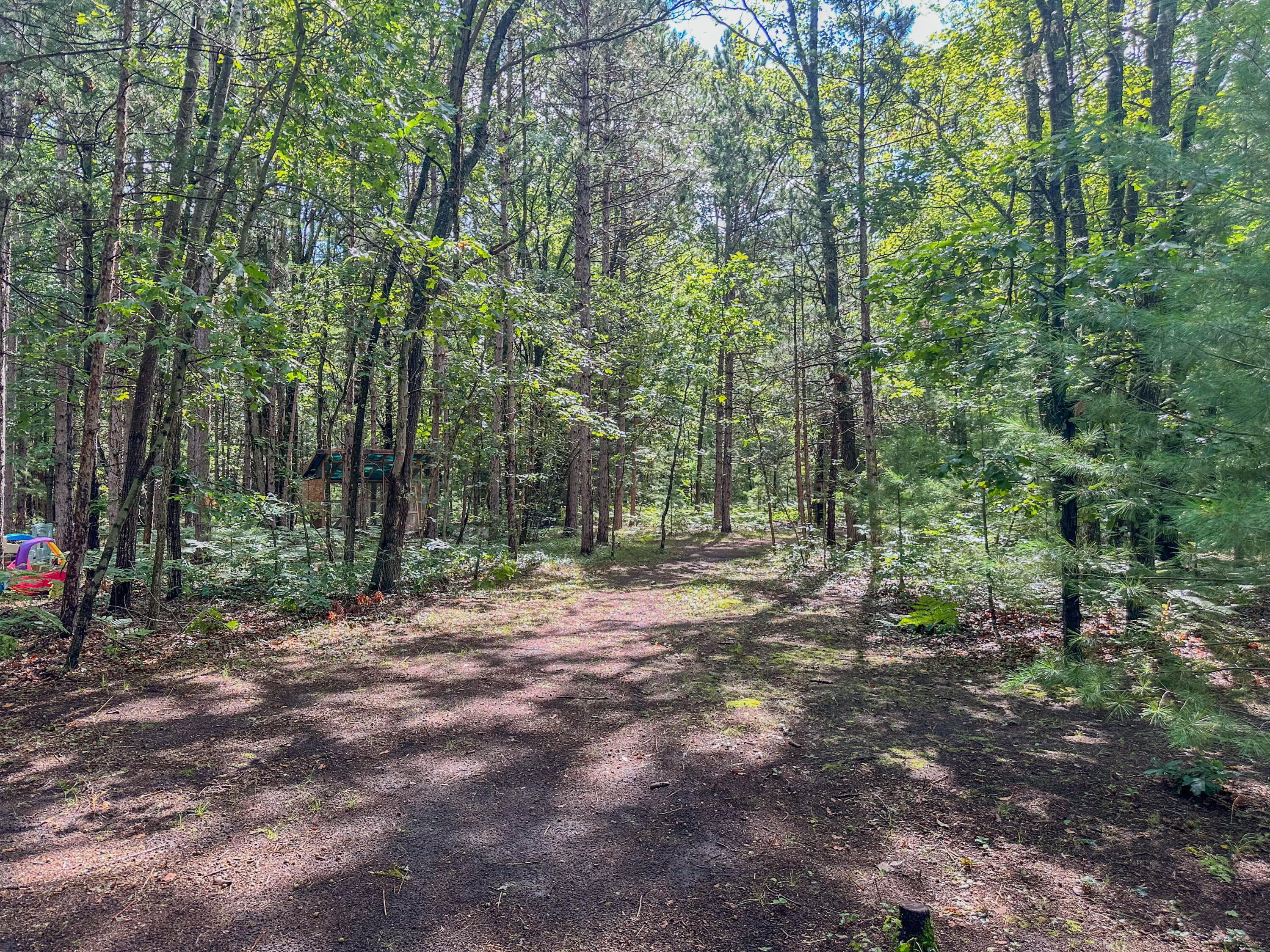 10450 North Tuttle Road Free Soil, MI 49411 - Photo 31 of 35 Land View