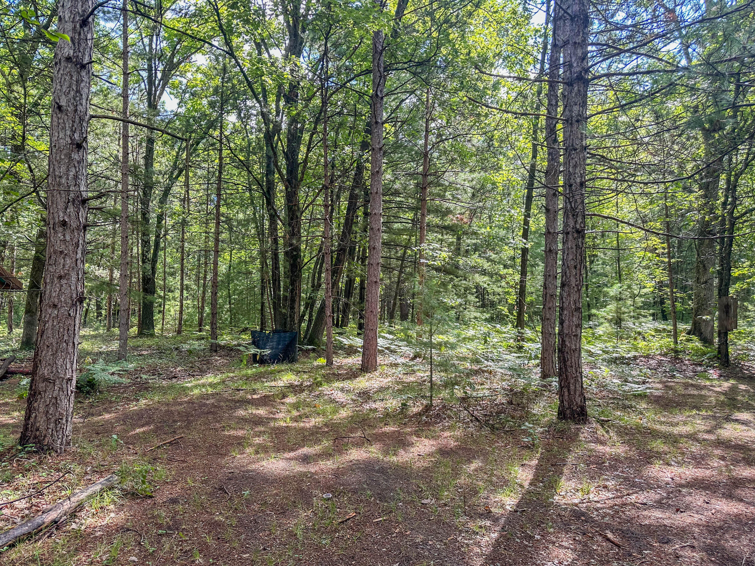 10450 North Tuttle Road Free Soil, MI 49411 - Photo 33 of 35 Land View