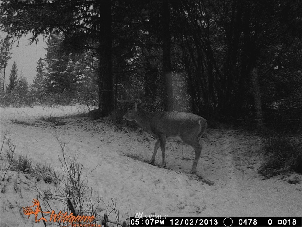 0 Tonasket Creek Road Curlew, WA 99118 - Photo 14 of 25 Gallery Image 14