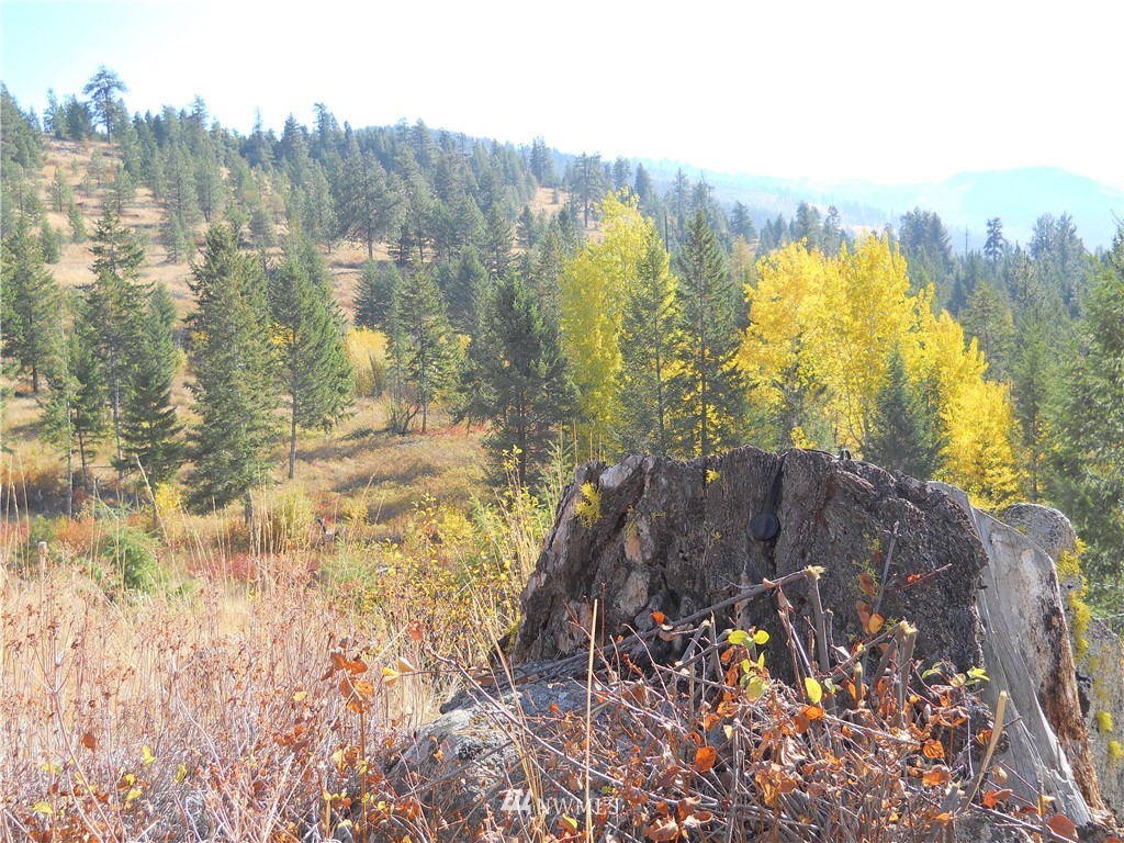 0 Tonasket Creek Road Curlew, WA 99118 - Photo 15 of 25 Gallery Image 15