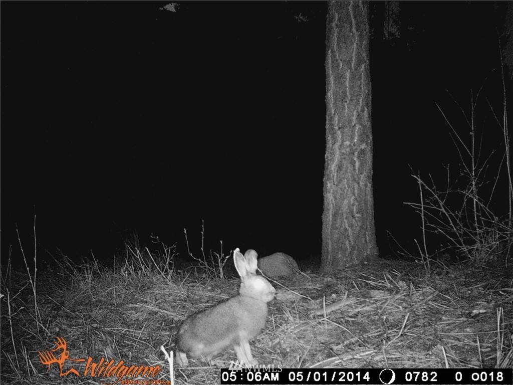 0 Tonasket Creek Road Curlew, WA 99118 - Photo 18 of 25 Gallery Image 18