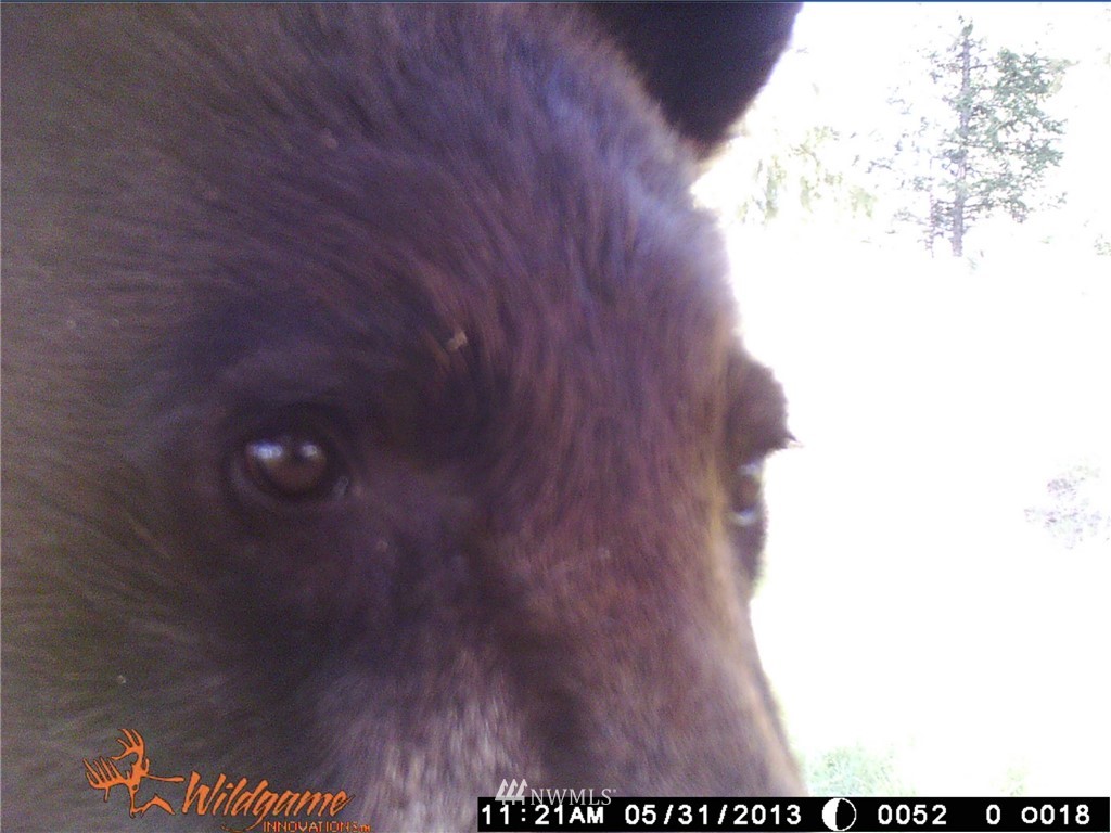 0 Tonasket Creek Road Curlew, WA 99118 - Photo 21 of 25 Gallery Image 21