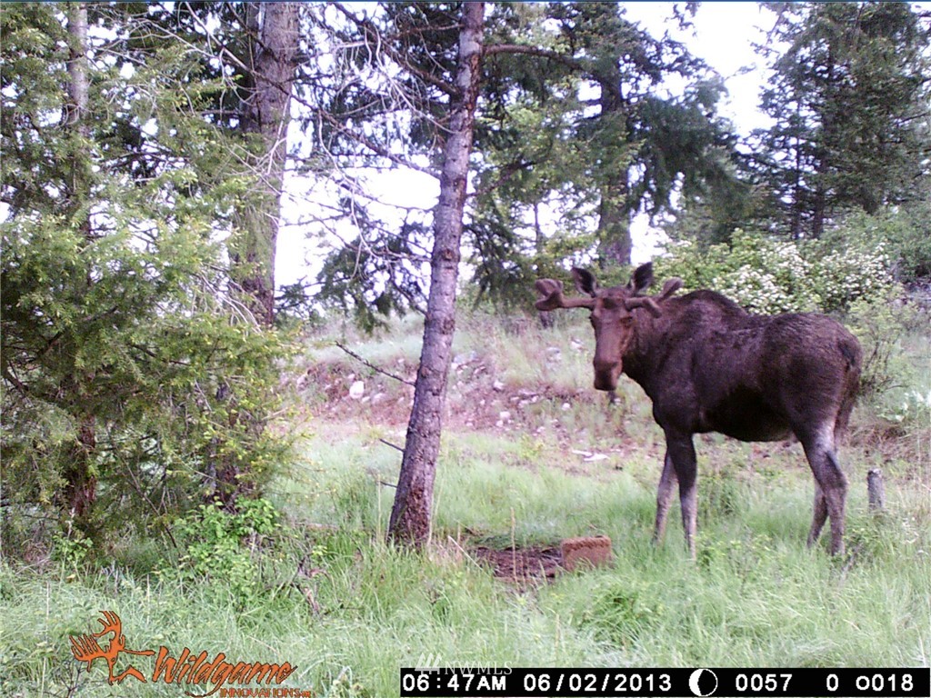 0 Tonasket Creek Road Curlew, WA 99118 - Photo 22 of 25 Gallery Image 22