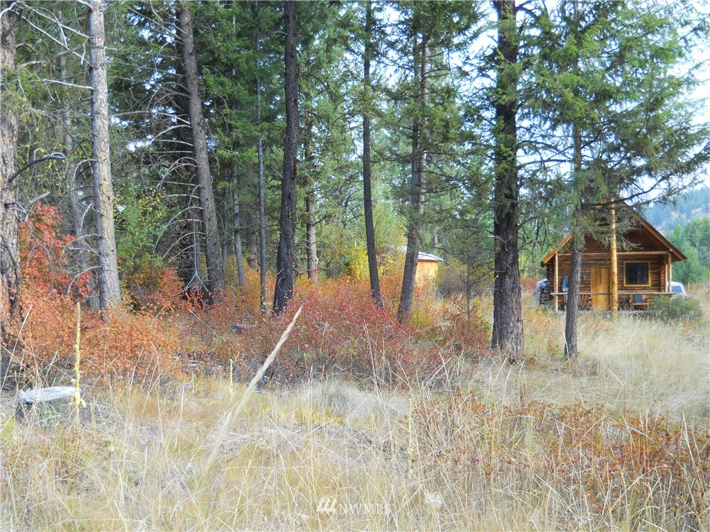 0 Tonasket Creek Road Curlew, WA 99118 - Photo 8 of 25 Gallery Image 8