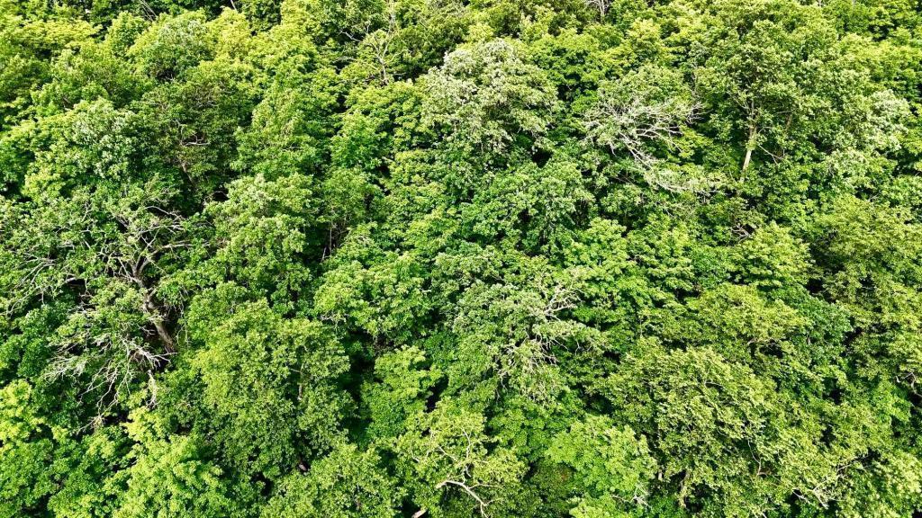 25213 Broadway Avenue Rochert, MN 56578 - Photo 14 of 17