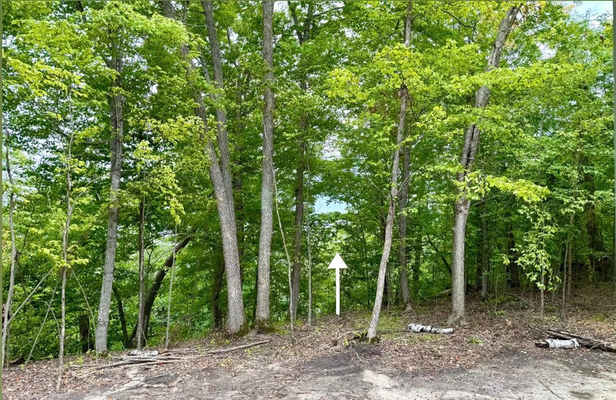 25213 Broadway Avenue Rochert, MN 56578 - Photo 16 of 17