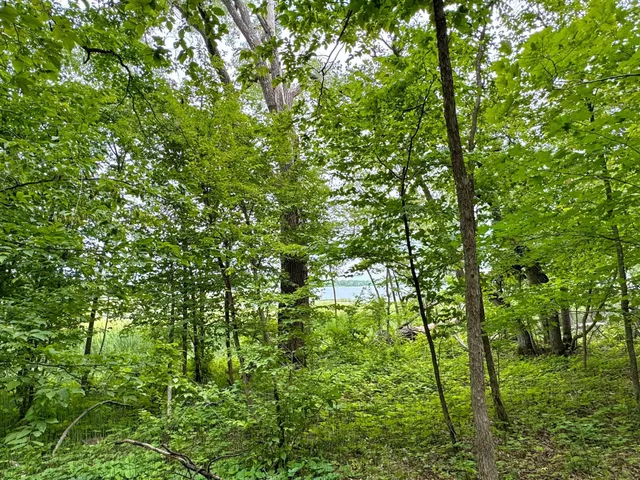 $164,900 | 25213 Broadway Avenue, Rochert, MN 56578