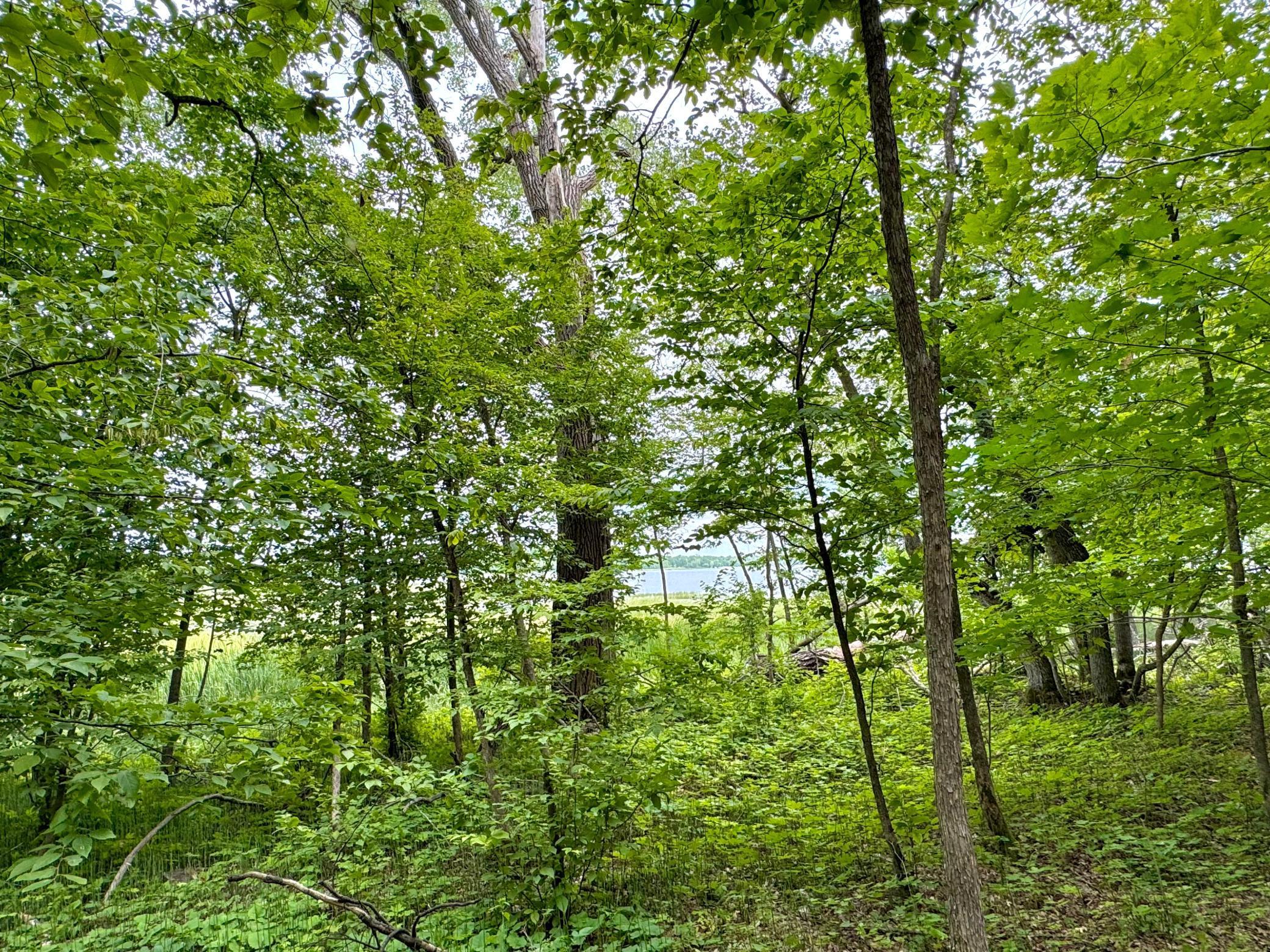 25213 Broadway Avenue Rochert, MN 56578 - Photo 8 of 17