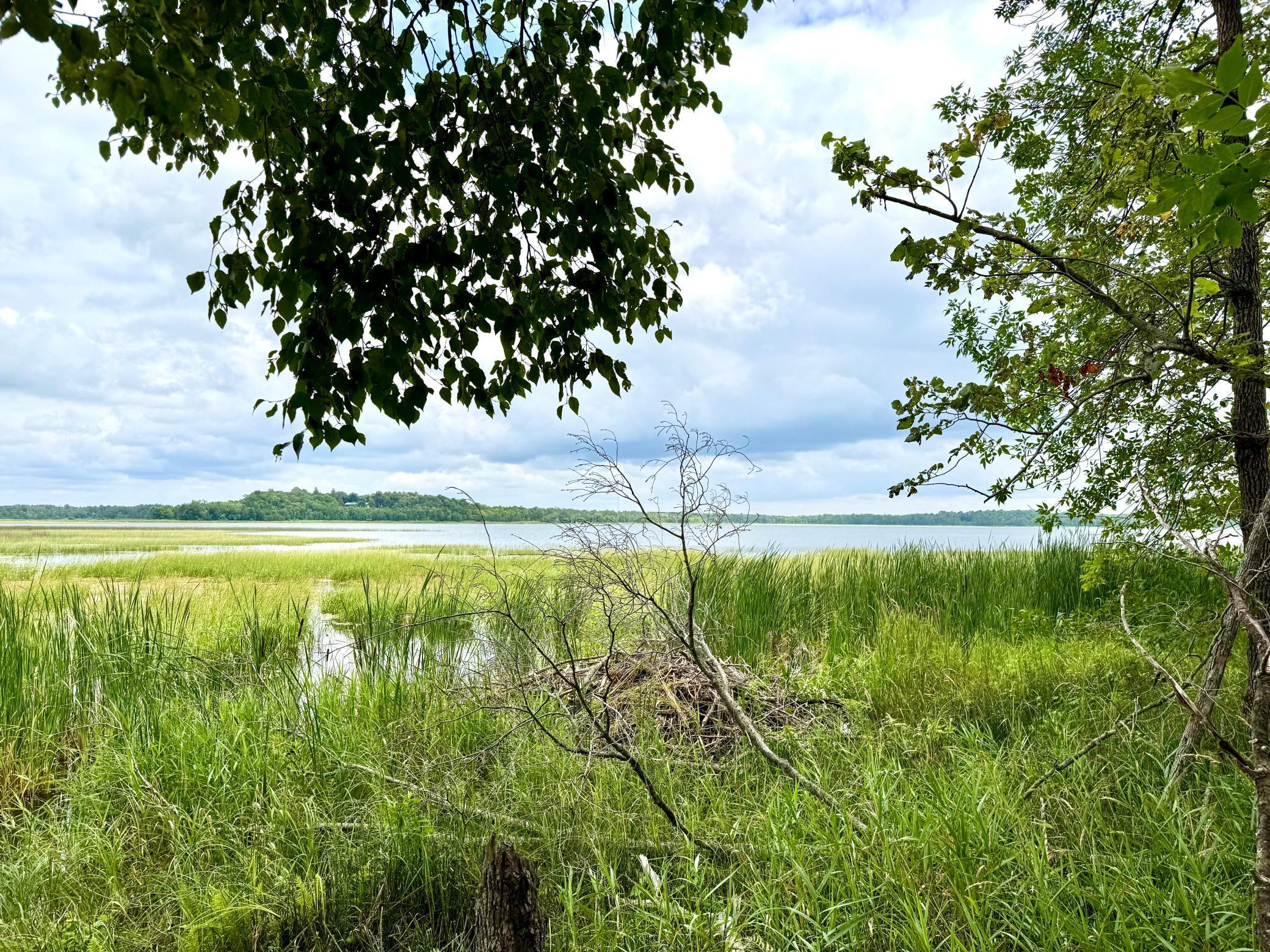 25213 Broadway Avenue Rochert, MN 56578 - Photo 9 of 17