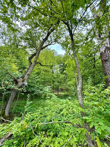 $164,900 | 25213 Broadway Avenue, Rochert, MN 56578