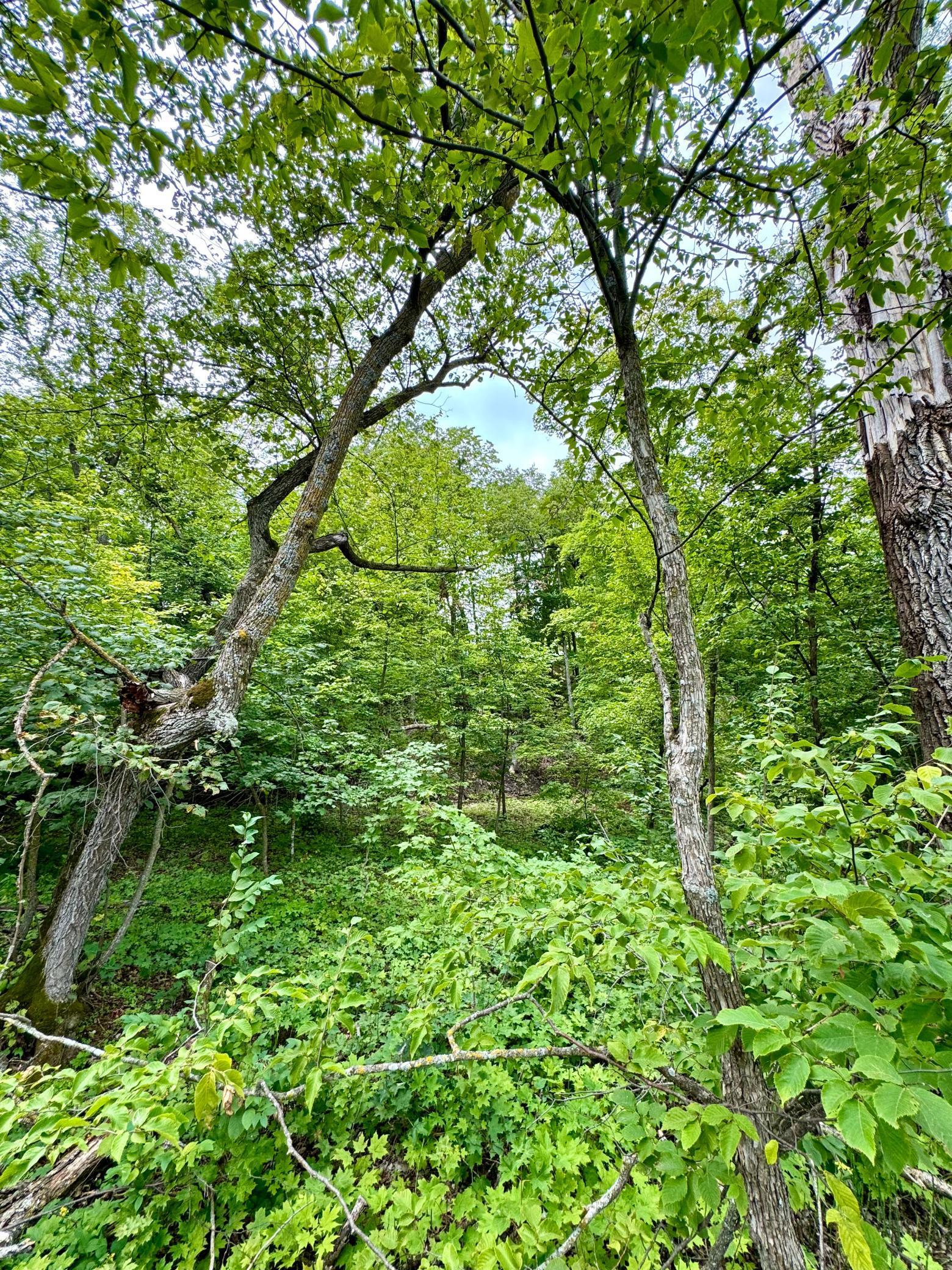 25213 Broadway Avenue Rochert, MN 56578 - Photo 10 of 17