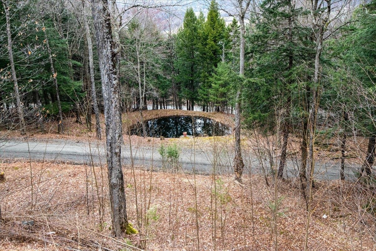 379 Upper French Hill Road Johnson, VT 05656 - Photo 44 of 53