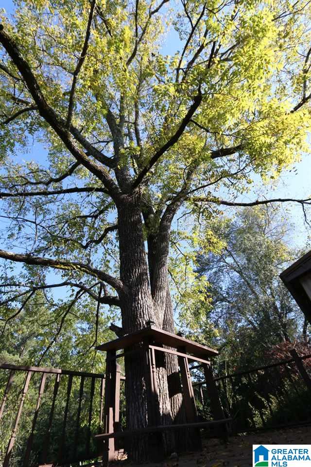 1315 Colgate Road Moody, AL 35004 - Photo 21 of 33