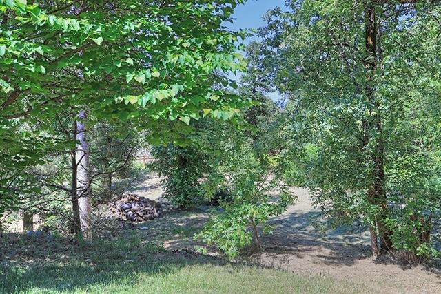 1502 Pleasant Valley Road Merlin, OR 97532 - Photo 22 of 23 a view of a plants and trees