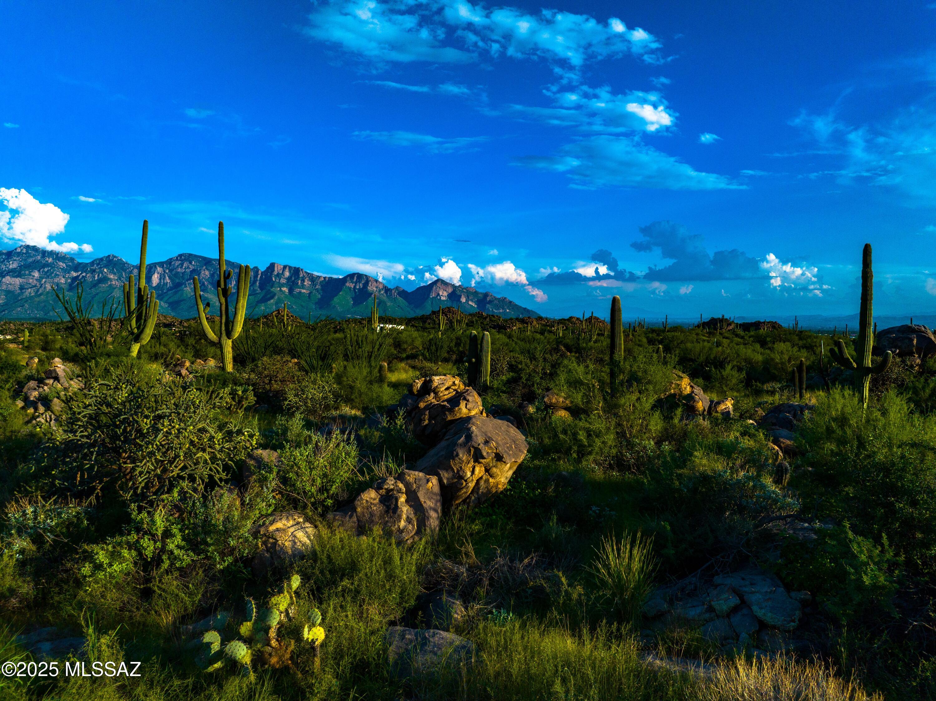 14925 North Slippery Ridge Loop, Unit 481 Tucson, AZ 85755 - Photo 1 of 1 Gallery Image 1