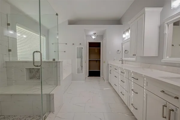 a bathroom with a sink and a shower