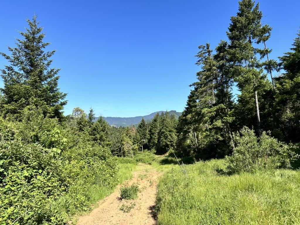 780 Tunnel Road Glendale, OR 97442 - Photo 1 of 25 8C353FEE-1D4E-4852-9D49-F457322B43A3_1_1