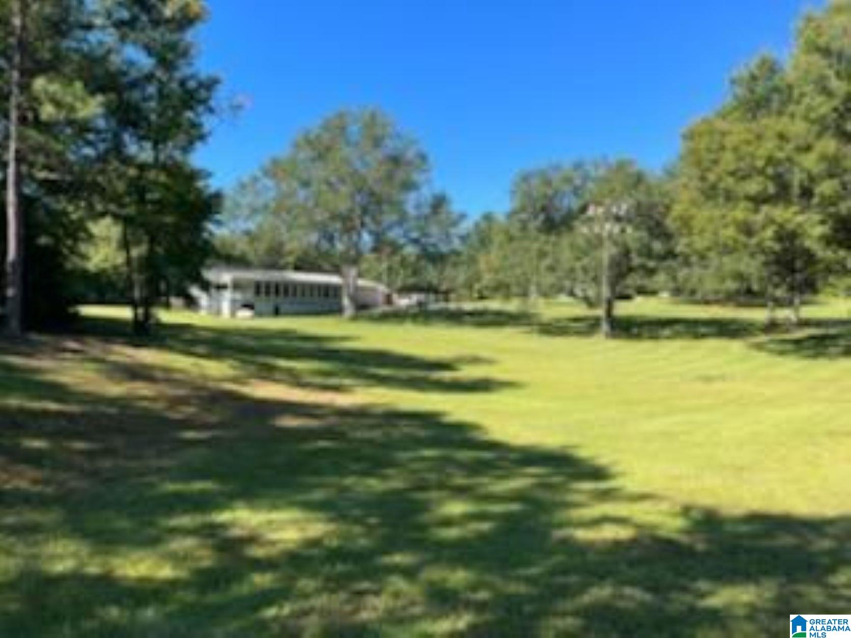 3046 Payne Lk Road Brent, AL 35034 - Photo 5 of 13
