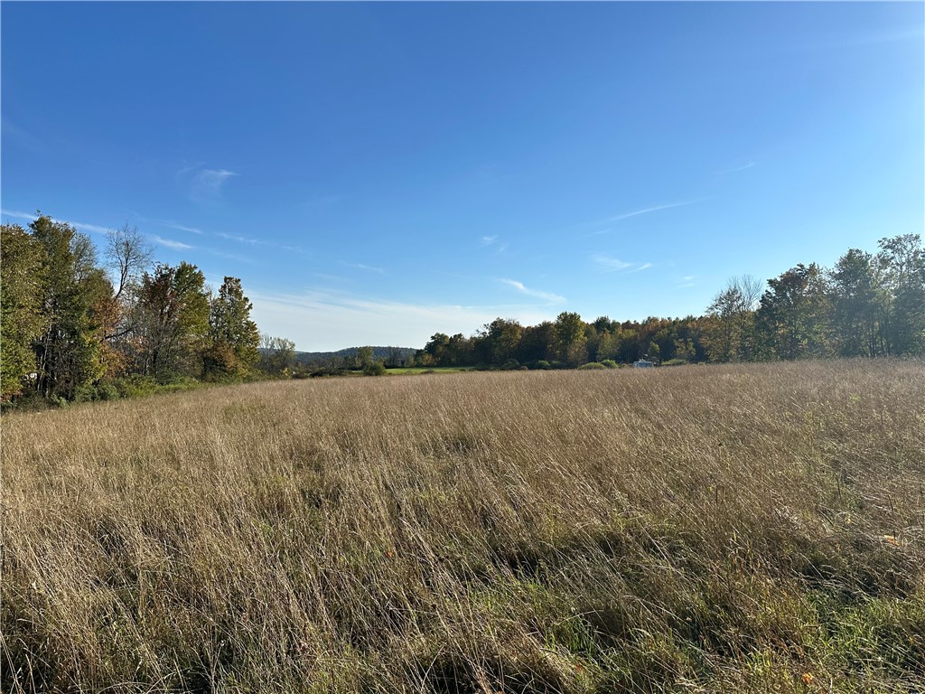 Hill Road Oxford, NY 13830 - Photo 5 of 15 Gallery Image 5