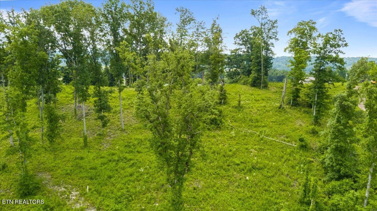 1 Mill Creek Road Andersonville, TN 37705 - Photo 21 of 26 07-Mill Creek Rd