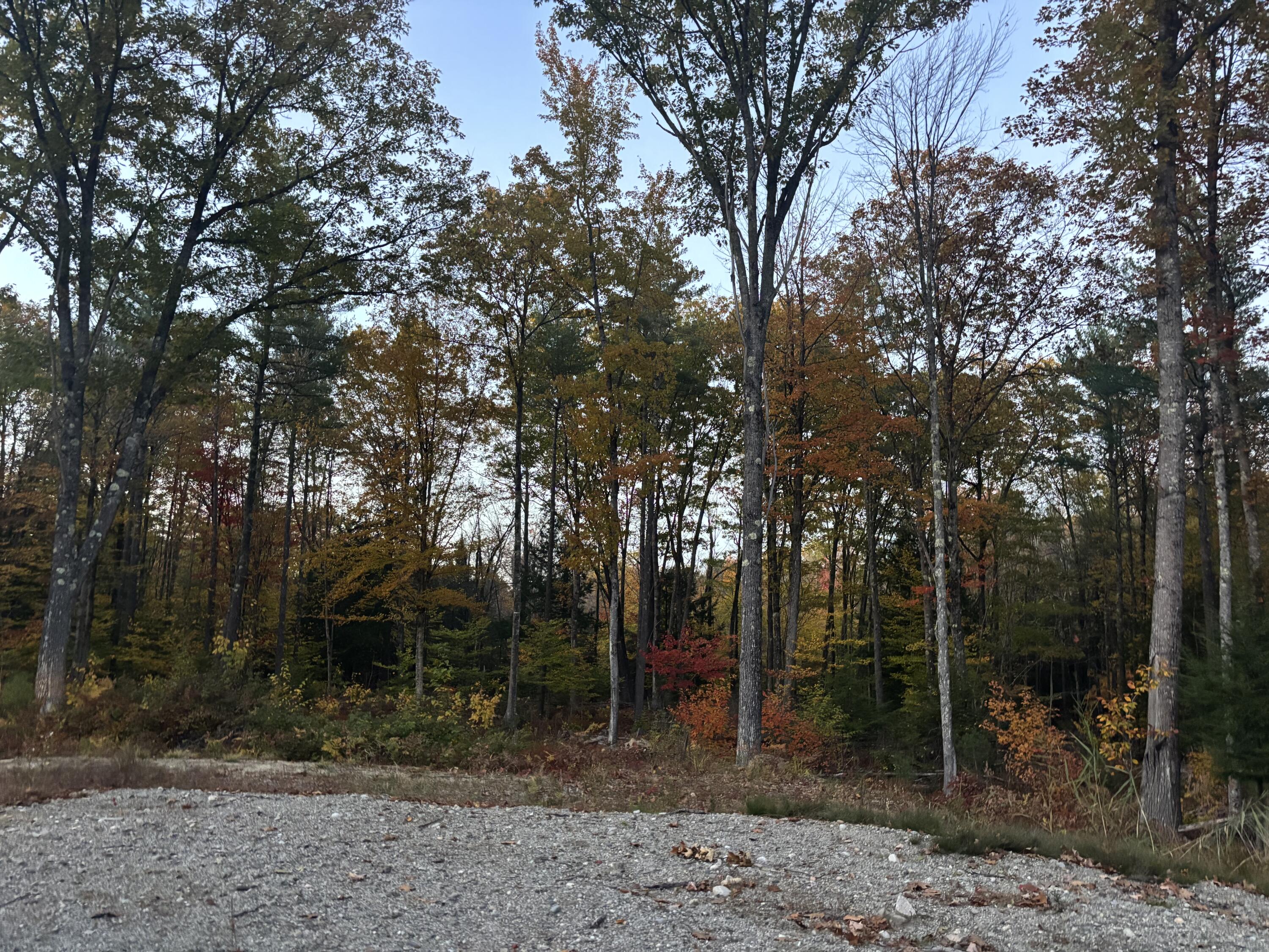 Lot 39 Main Street Wayne, ME 04284 - Photo 4 of 8 IMG_4003