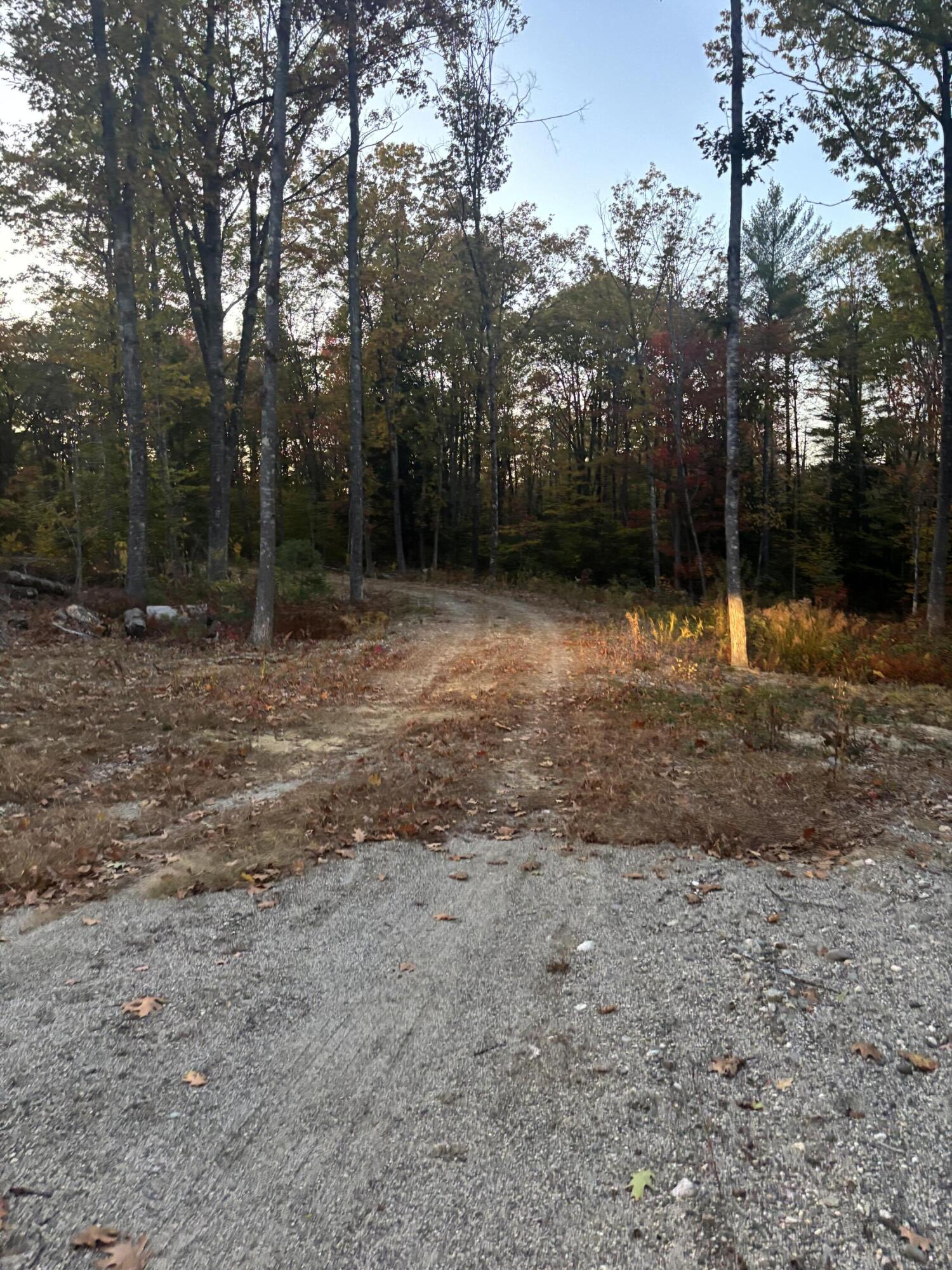 Lot 39 Main Street Wayne, ME 04284 - Photo 5 of 8 IMG_4004