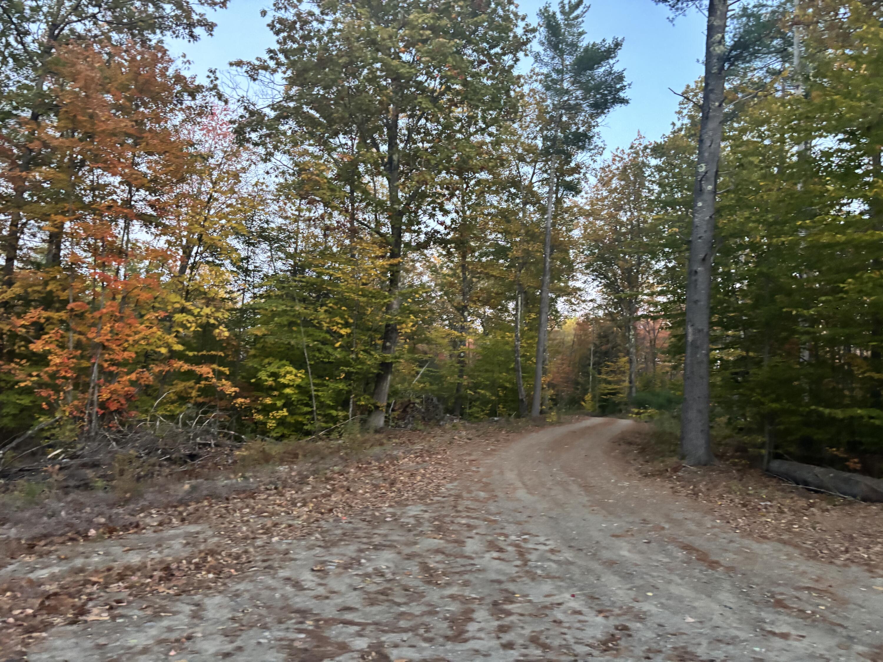 Lot 39 Main Street Wayne, ME 04284 - Photo 7 of 8 IMG_4006