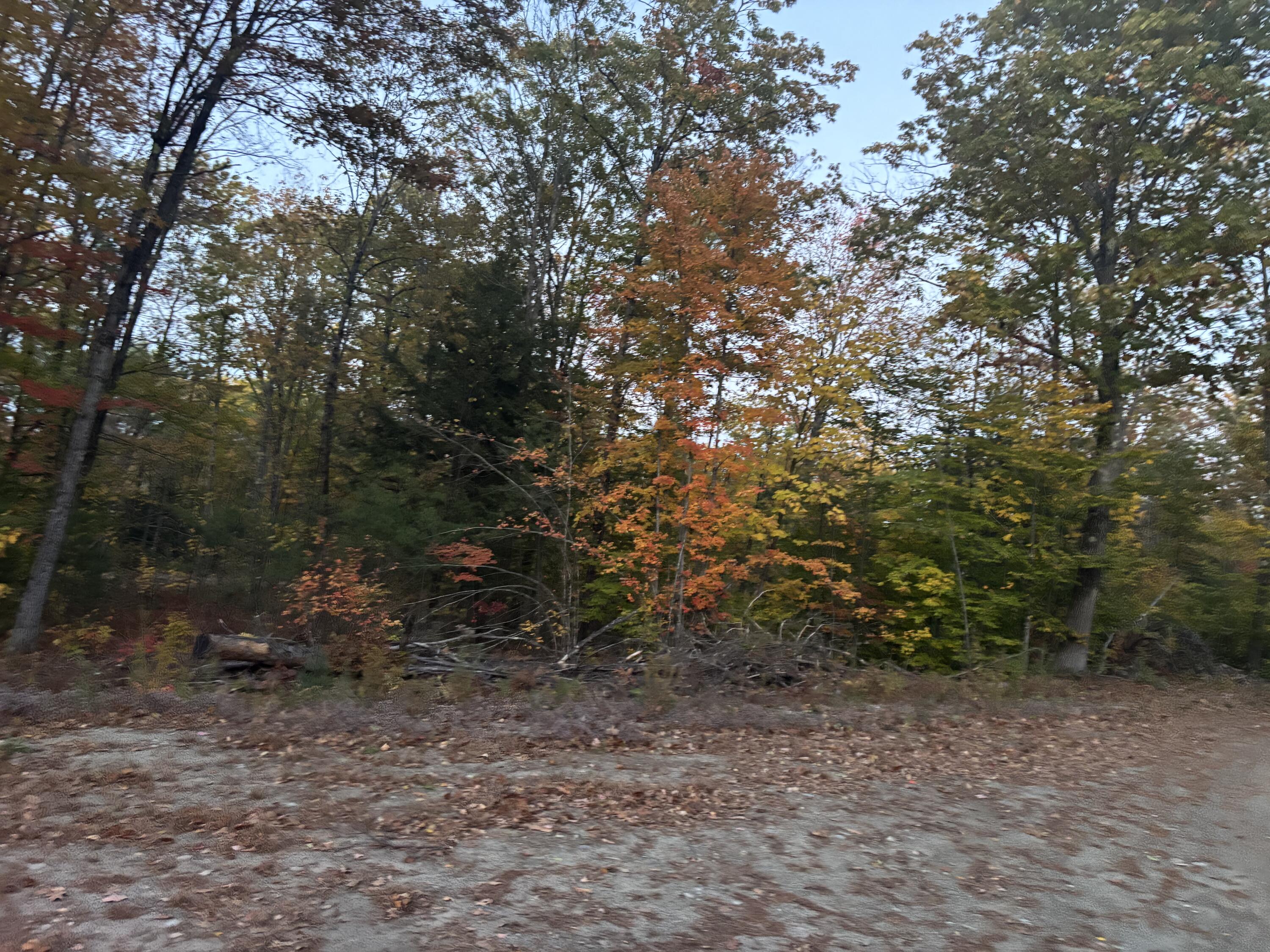 Lot 39 Main Street Wayne, ME 04284 - Photo 8 of 8 IMG_4007