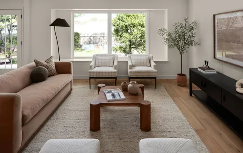 a living room with furniture and a potted plant