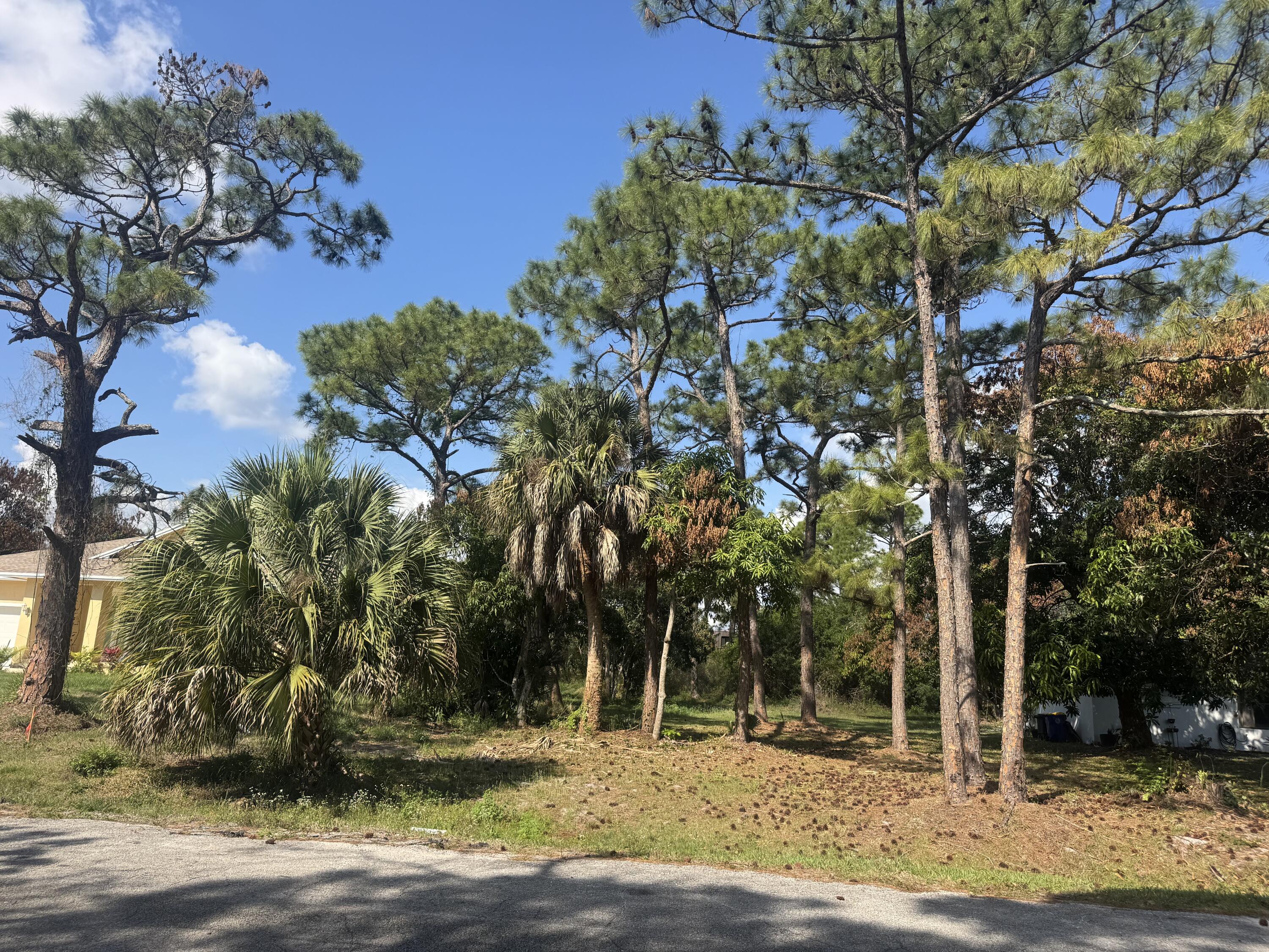 a view of outdoor space with trees