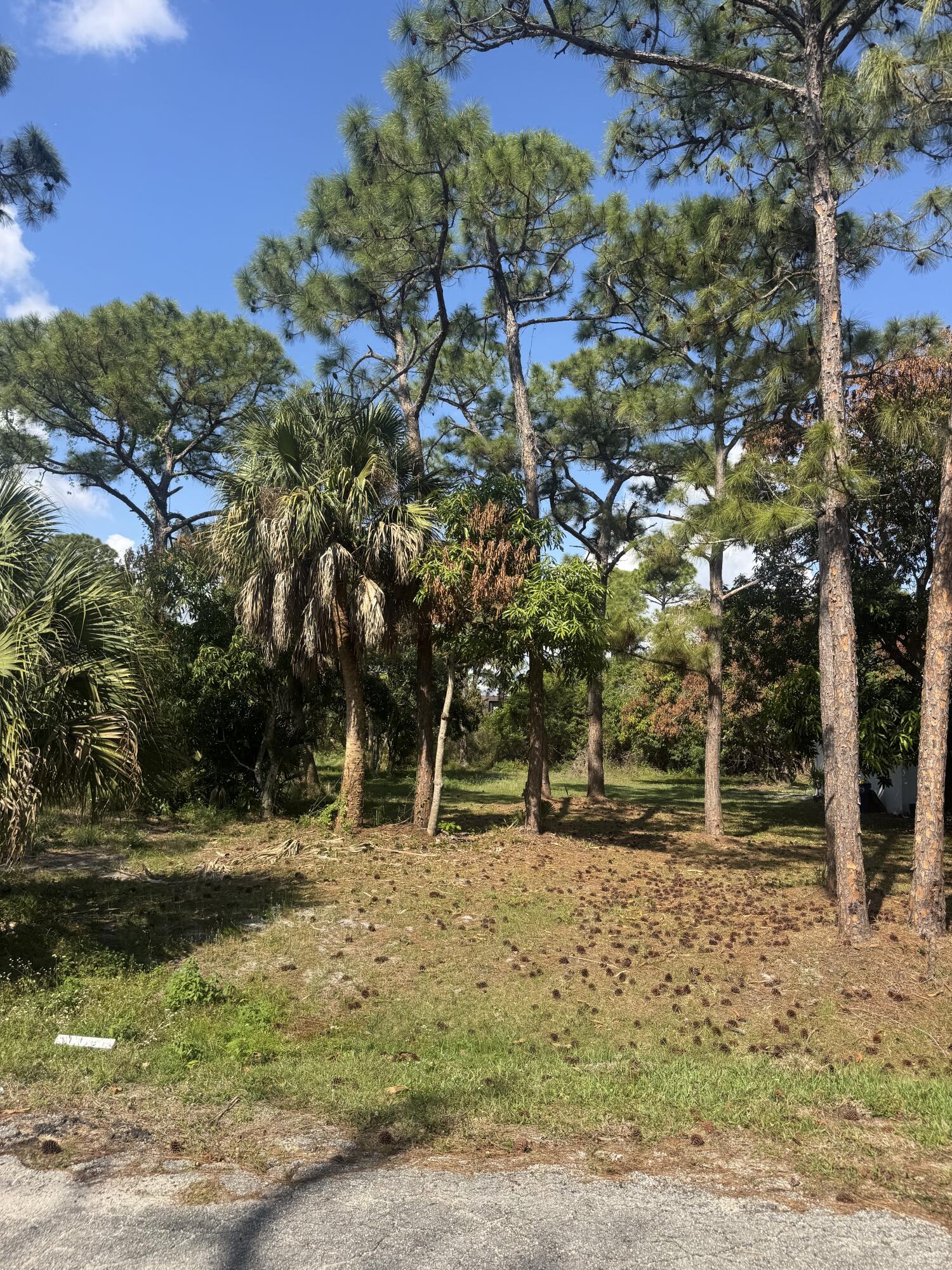 5866 Southeast Wesley Avenue Stuart, FL 34997 - Photo 2 of 6 a backyard of a house with lots of green space