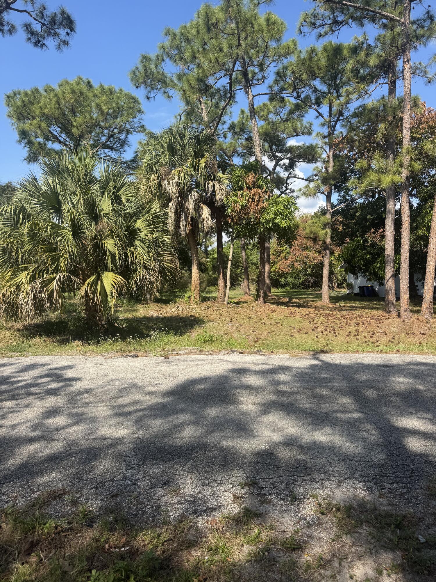 5866 Southeast Wesley Avenue Stuart, FL 34997 - Photo 4 of 6 a view of yard with tree