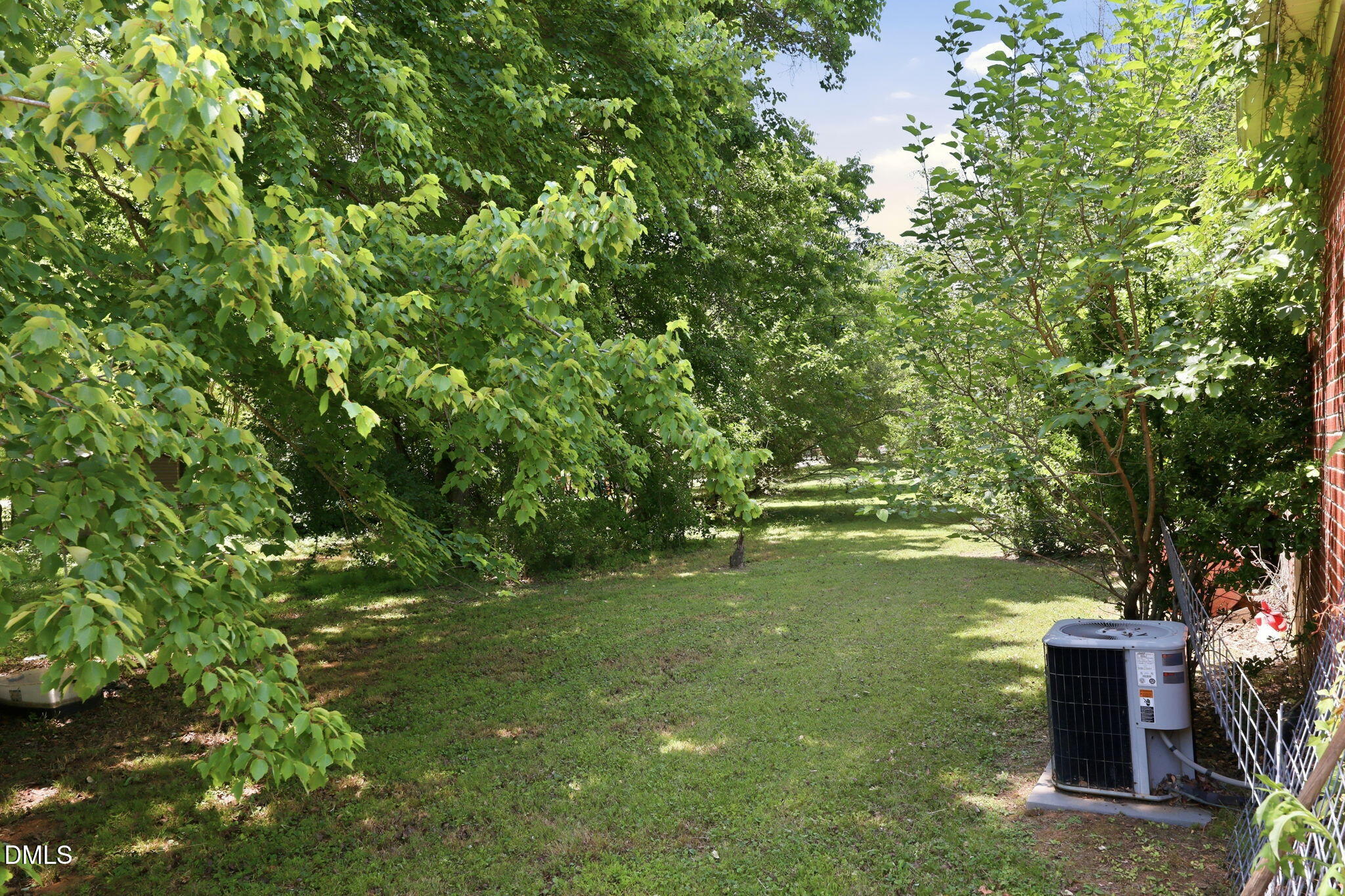 1315 Alpha Road Henderson, NC 27536 - Photo 4 of 26 Back yard Open Space