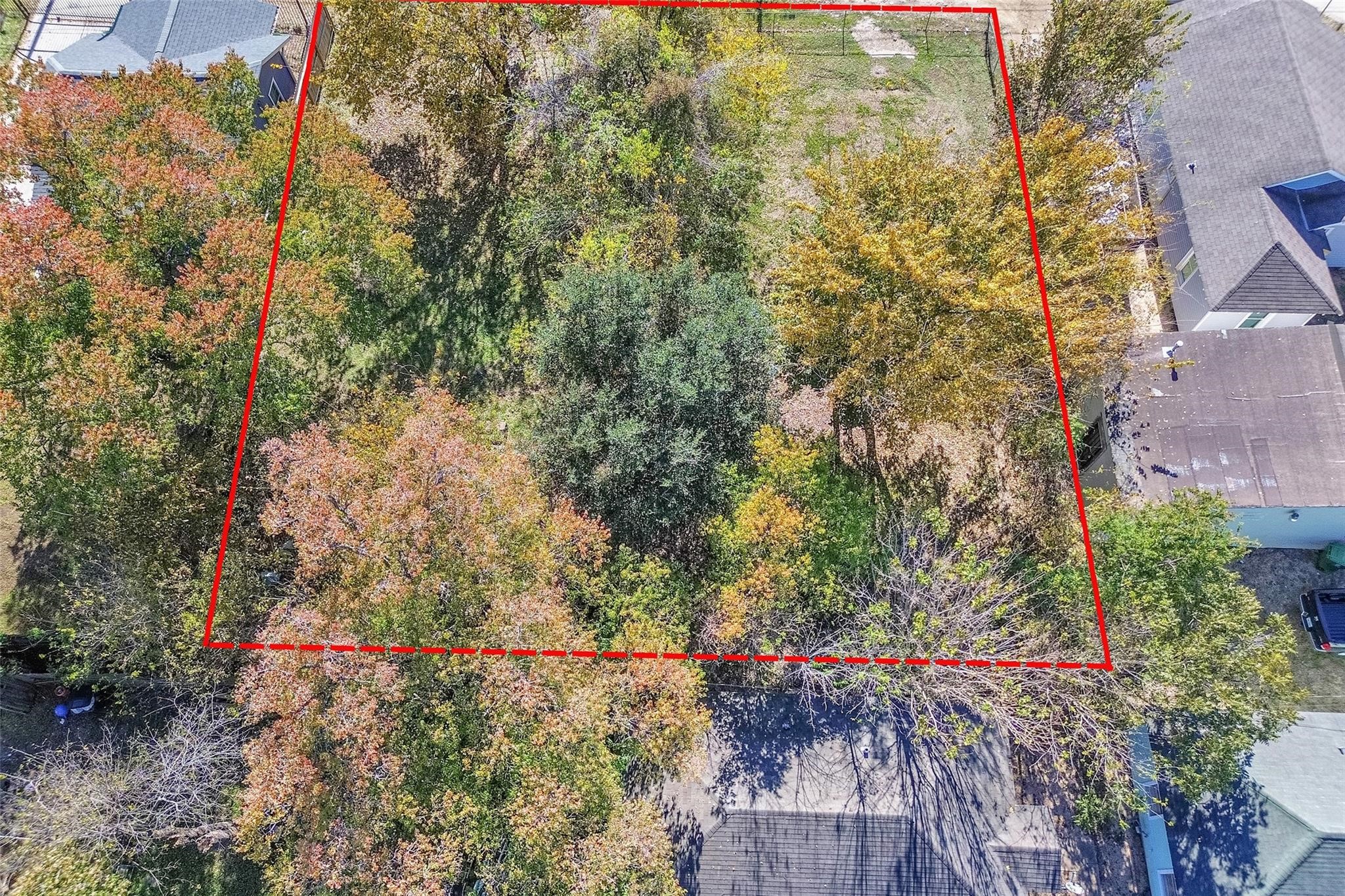 3209 Adelia Street Houston, TX 77026 - Photo 16 of 18 a view of a yard with flower plants