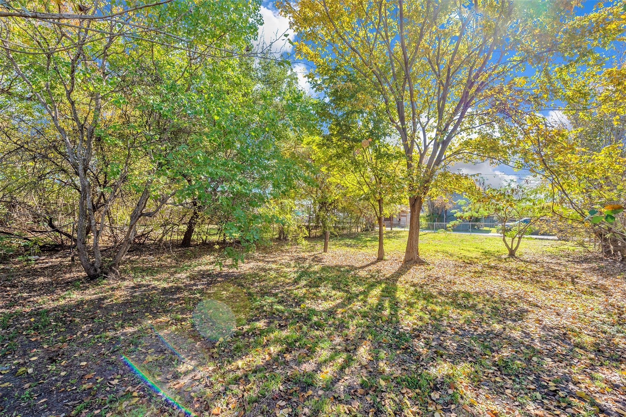 3209 Adelia Street Houston, TX 77026 - Photo 3 of 18 a view of a yard with trees
