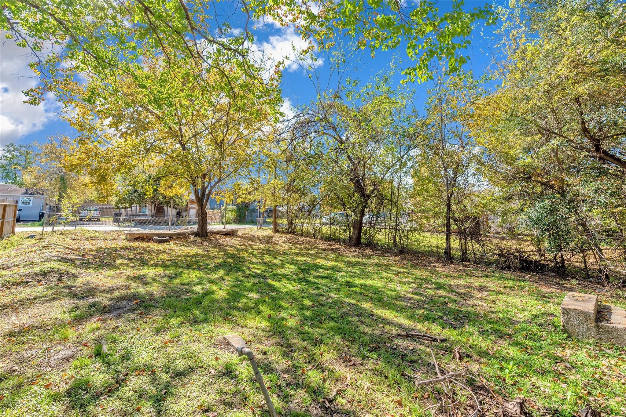 3209 Adelia Street Houston, TX 77026 - Photo 4 of 18 a view of yard with trees