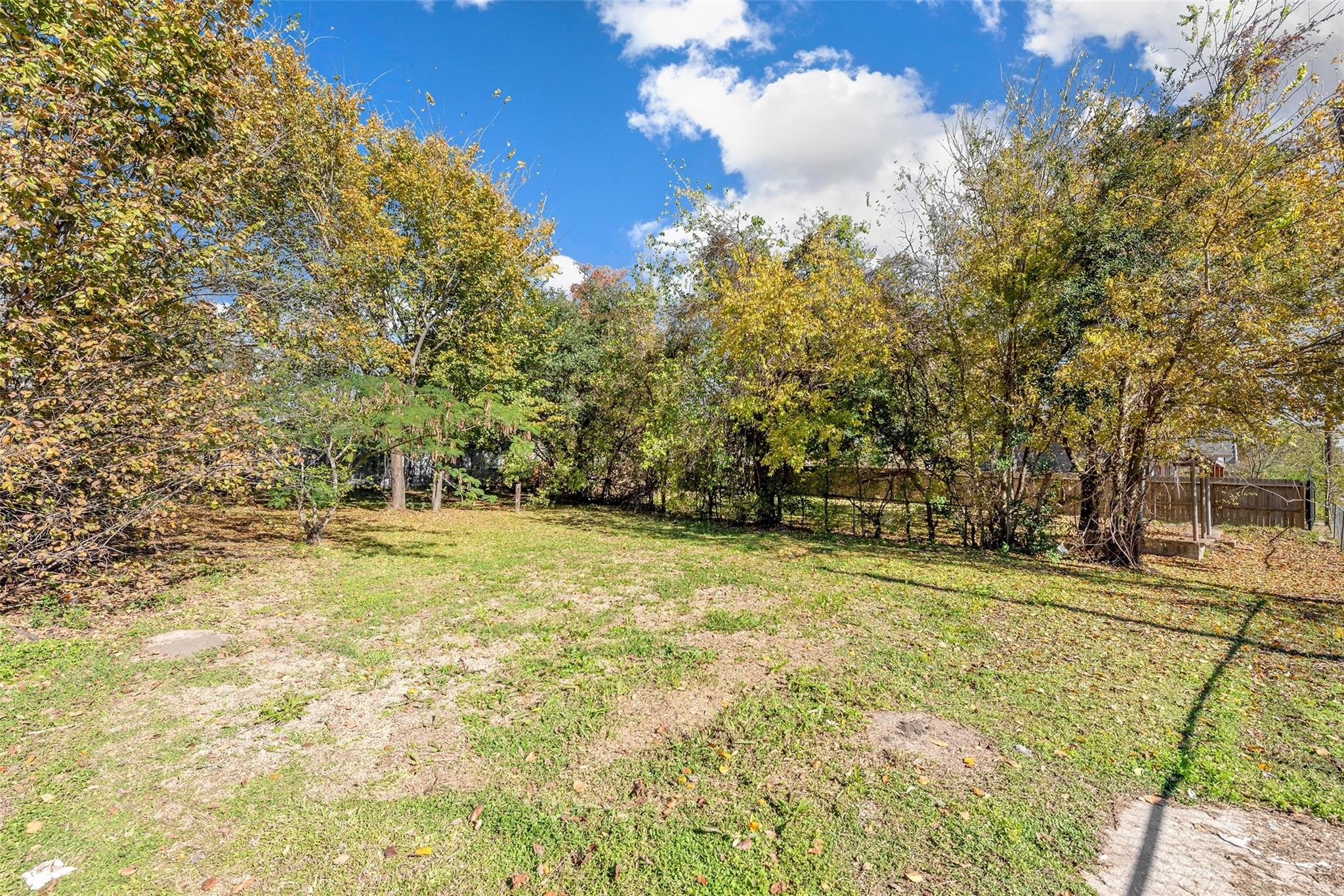 3209 Adelia Street Houston, TX 77026 - Photo 5 of 18 a view of a yard with an trees