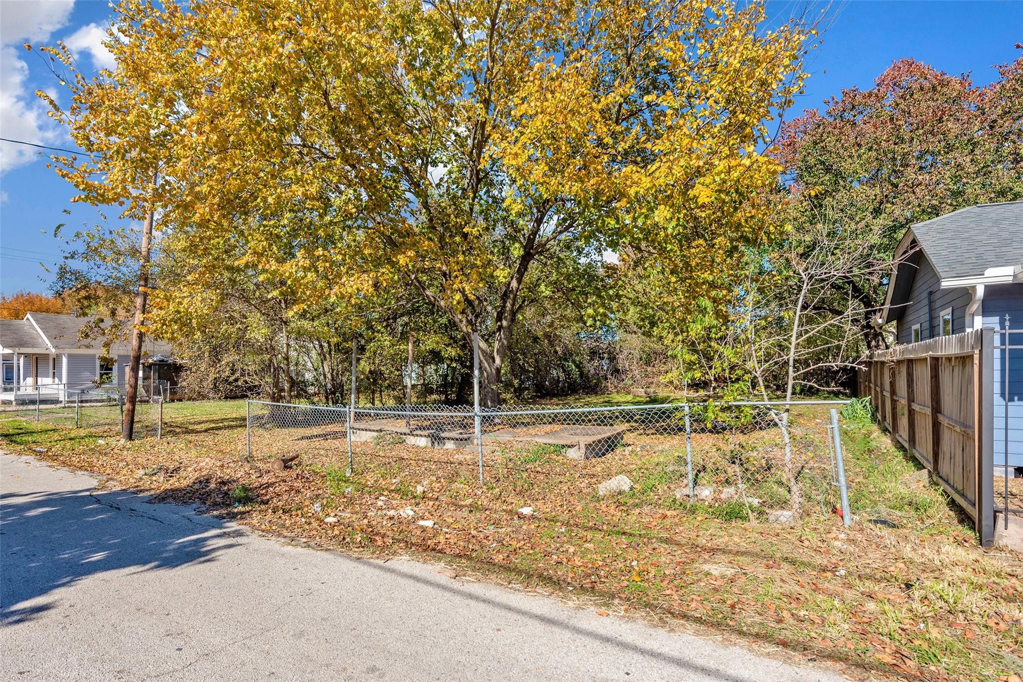 3209 Adelia Street Houston, TX 77026 - Photo 8 of 18 a view of a yard with plants and trees