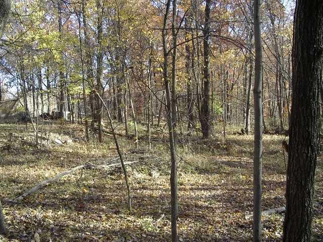 8593 Georgetown Road Columbus, IN 47201 - Photo 6 of 7