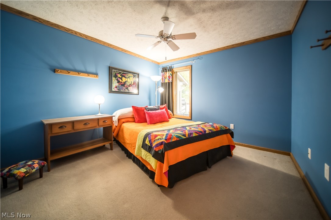 5119 Hattrick Road Ravenna, OH 44266 - Photo 23 of 33 Bedroom with a textured ceiling, carpet flooring, and ceiling fan
