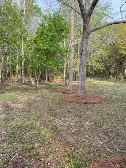 205 Triver Drive Moncks Corner, SC 29461 - Photo 3 of 29 3