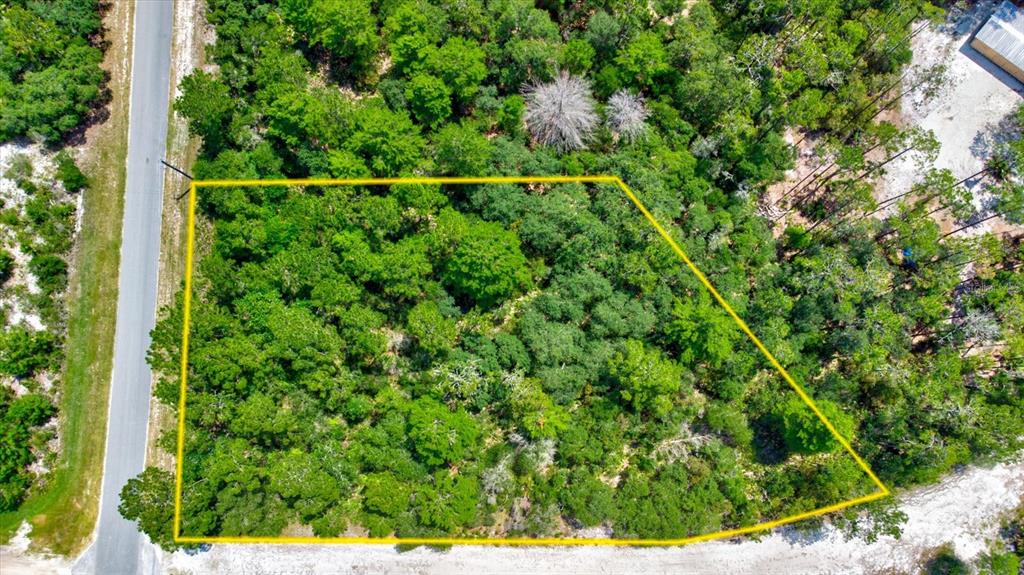 200 Whispering Pines Road Georgetown, FL 32139 - Photo 1 of 1 a view of a yard